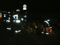 Baumsturz in Dittersbach, 21.08.2009