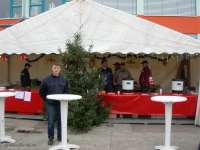 Wesenitztaler Weihnachtsmarkt, 29.11.2009