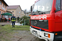 Weihnachtsbaumverbrennen in Dittersbach, 15.01.2011