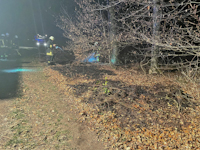 Brand von ca. 10qm Waldboden in Wilschdorf, 10.03.2022