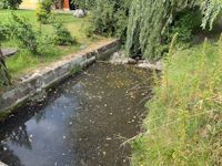 Verendete Fische in St�rzaer Bach, 16.08.2025